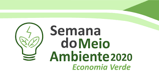 Desenvolvimento de uma economia verde pós-pandemia: Direções e Tendências