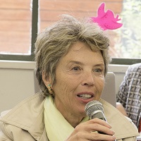 Jussara de Lima Carvalho