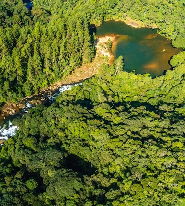 ICLEI América do Sul lança Programa de Aceleração de Unidades de Conservação