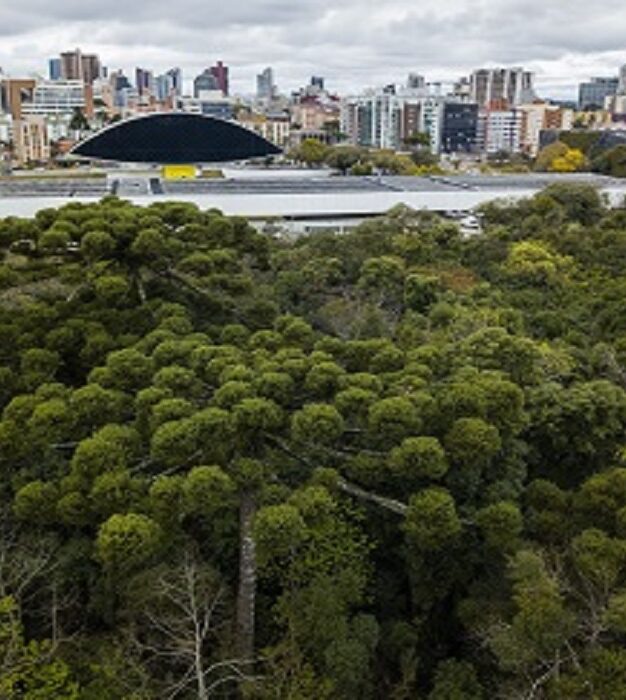 Las ciudades sudamericanas están presentes en Daring Cities