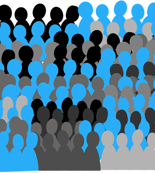 Seminário debate desinformação e o futuro da democracia