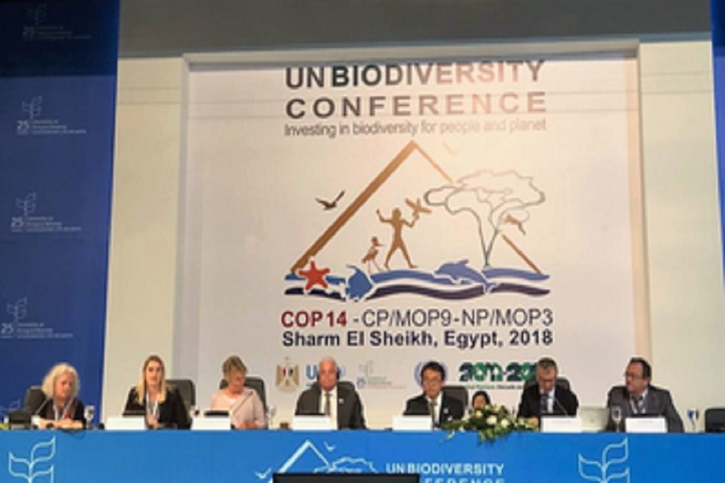 Urgência de ação multinível para conter a perda da biodiversidade é o apelo do Comunicado de Sharm El-Sheikh