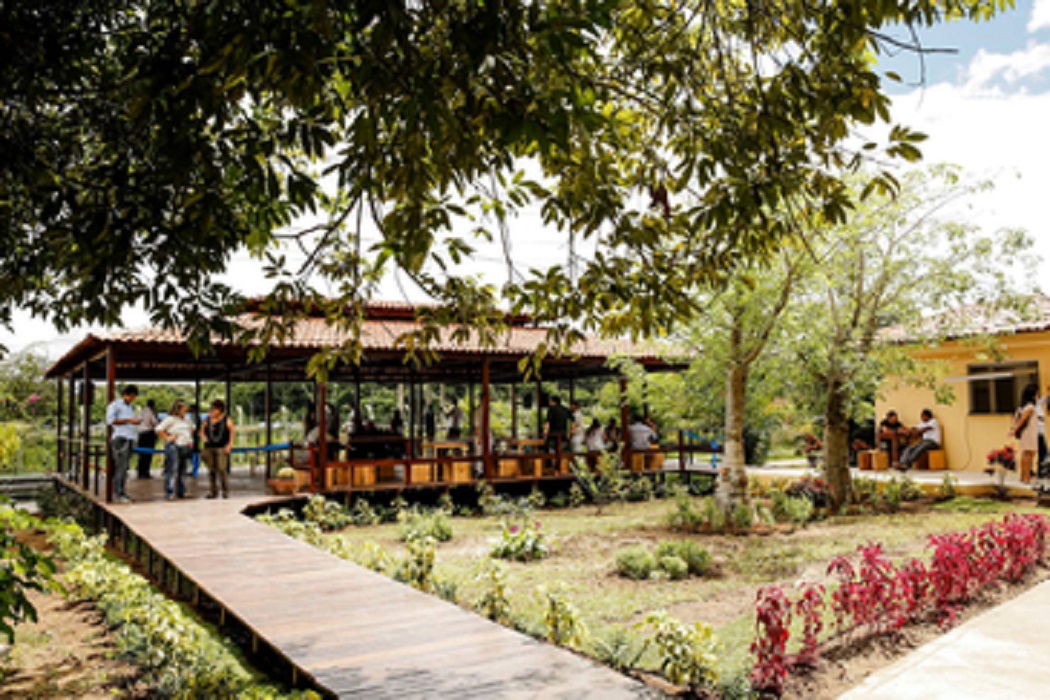 Jardim Botânico do Recife amplia área verde e ganha novas estruturas