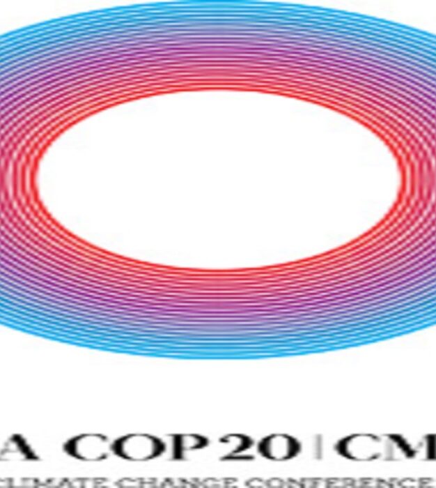 Lima uniu países pela ação climática, Paris deve colocar todos os atores a bordo