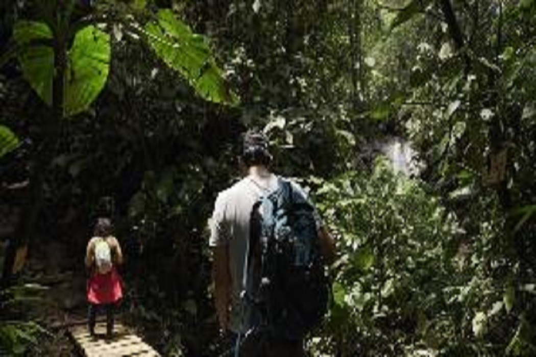 Representantes da Colômbia, Equador e Peru avaliam a contribuição dos municípios para a Meta de Aichi 11
