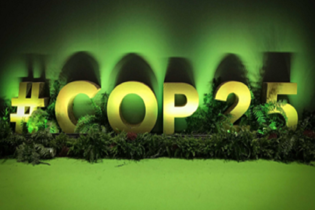 Después de la COP25, frustración por las decisiones pero aún más esperanza en la acción climática local