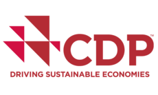 Conexão CDP 2019