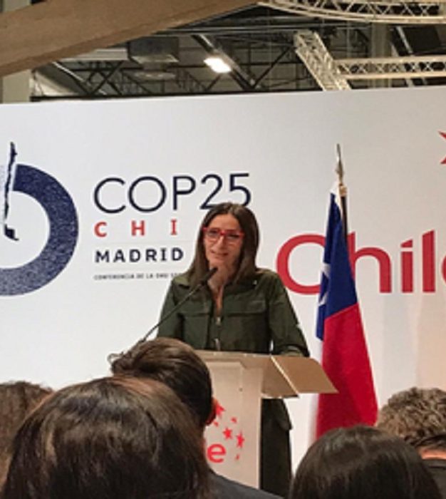 «De Chile al Reino Unido – El camino para Glasgow: consolidación y otras contribuciones para implementación de las NDCs» fue uno de los paneles de la COP25 el martes