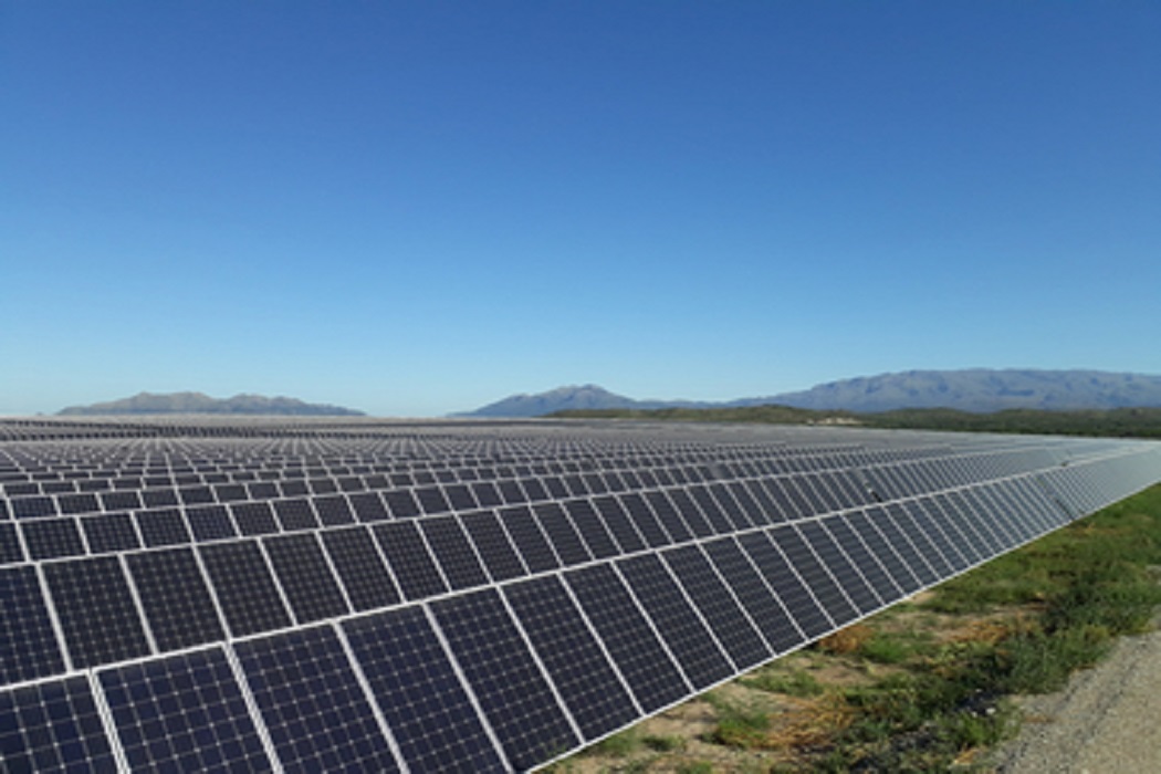 Google e ICLEI cooperam em fundo piloto para ações climáticas locais orientadas por dados