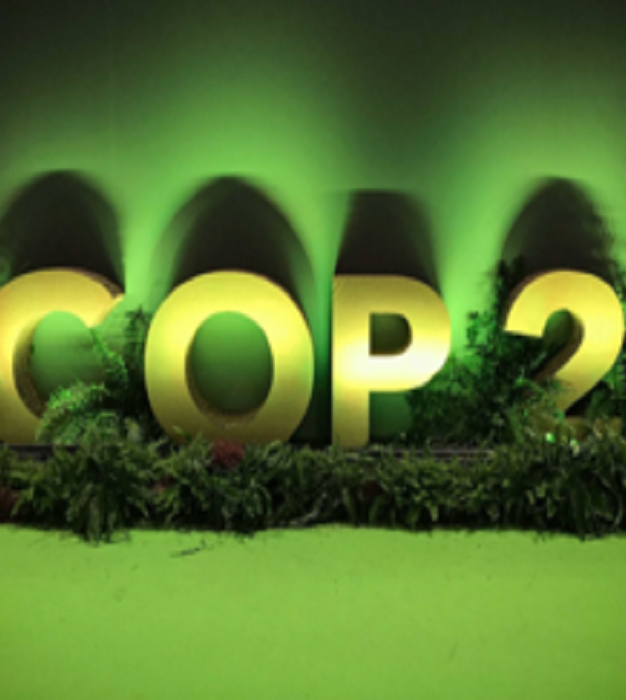 Após a COP25, frustração por decisões, mas ainda mais esperança na ação climática local