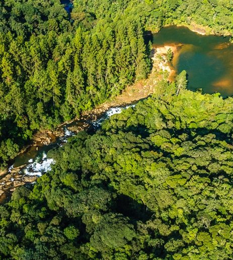 La importancia de las Unidades de Conservación en los territorios