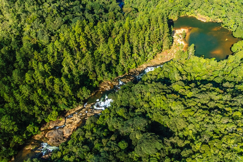 La importancia de las Unidades de Conservación en los territorios