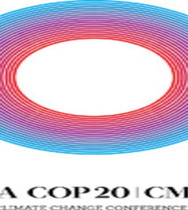 Lima unió países por la acción climática, Paris debe poner todos los actores a bordo