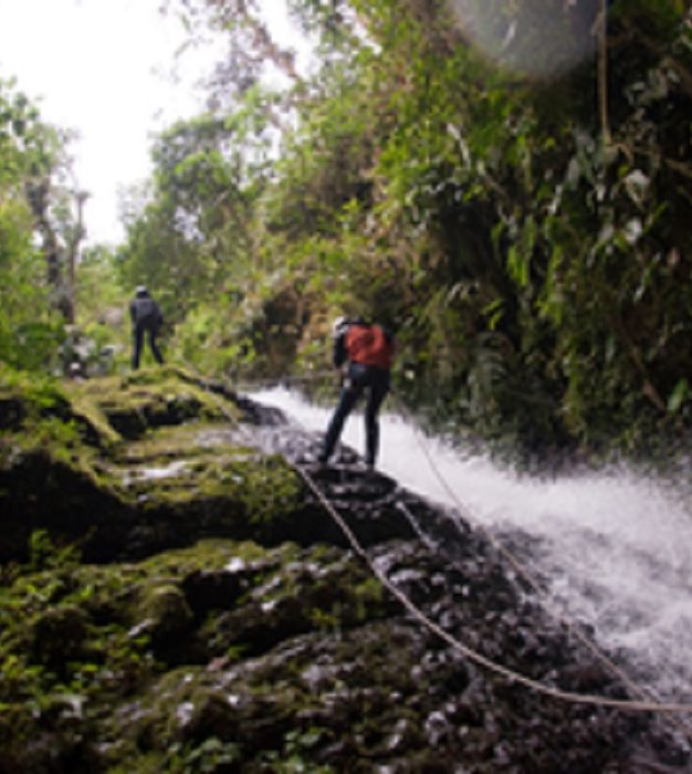 Gobiernos locales en Brasil, Colombia, Ecuador y Perú presentan iniciativas de conservación de la naturaleza