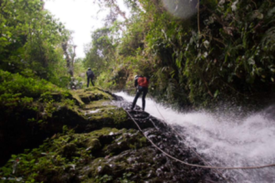 Gobiernos locales en Brasil, Colombia, Ecuador y Perú presentan iniciativas de conservación de la naturaleza