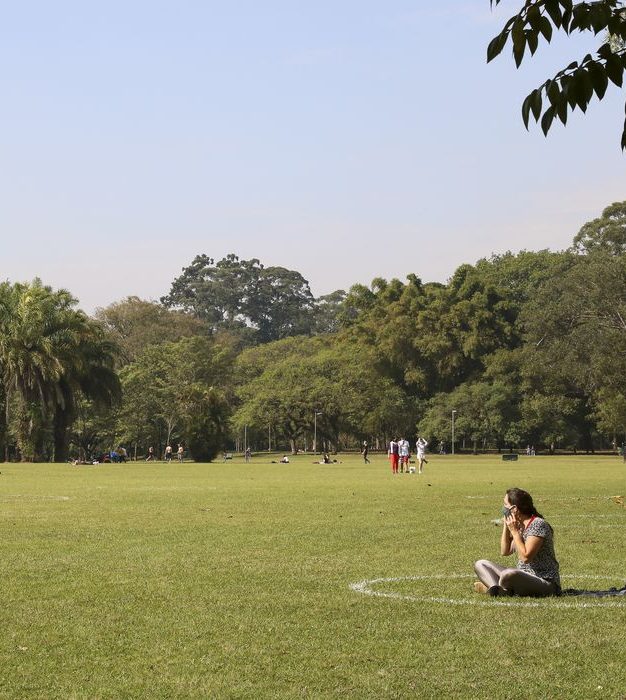 Organizações se unem para estimular uso de Soluções baseadas na Natureza no Brasil