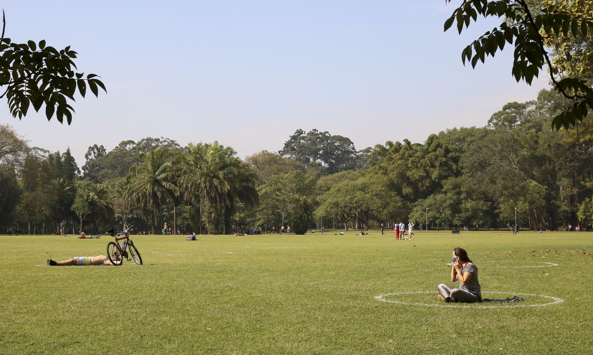 Organizações se unem para estimular uso de Soluções baseadas na Natureza no Brasil