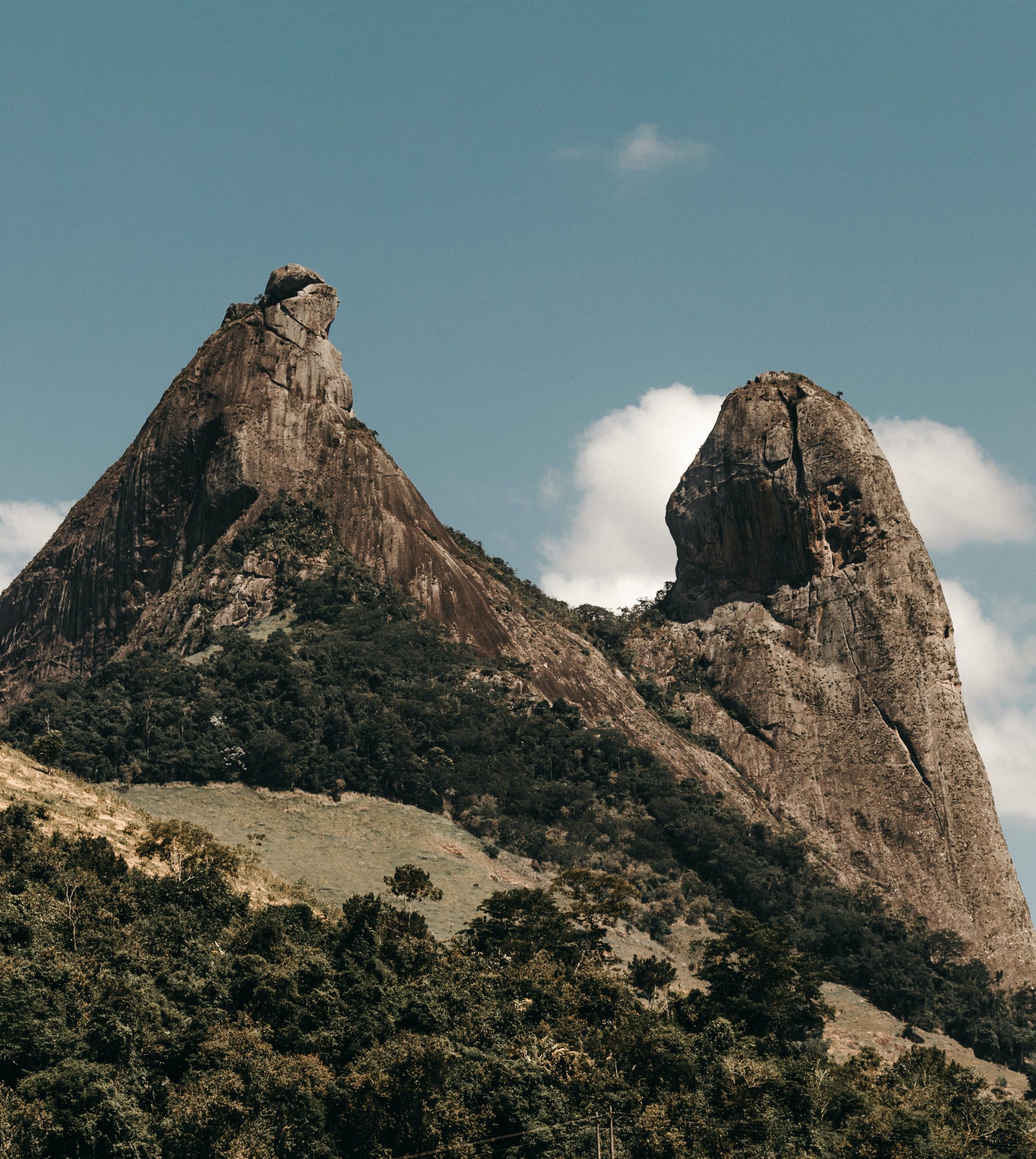 Como é trabalhar com biodiversidade no país mais biodiverso do mundo?