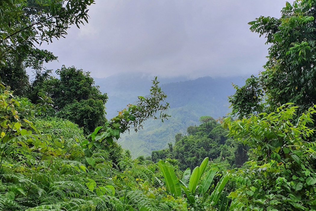 Un nuevo diálogo entre actores de gobiernos colombianos para fortalecer la conservación ambiental en el país