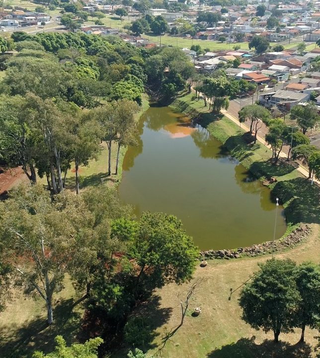 Como cidades brasileiras estão implementando Soluções baseadas na Natureza