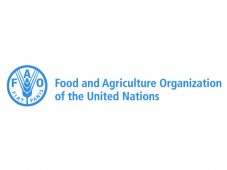 Diálogos Independentes sobre Alimentação
