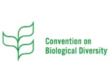 COP15