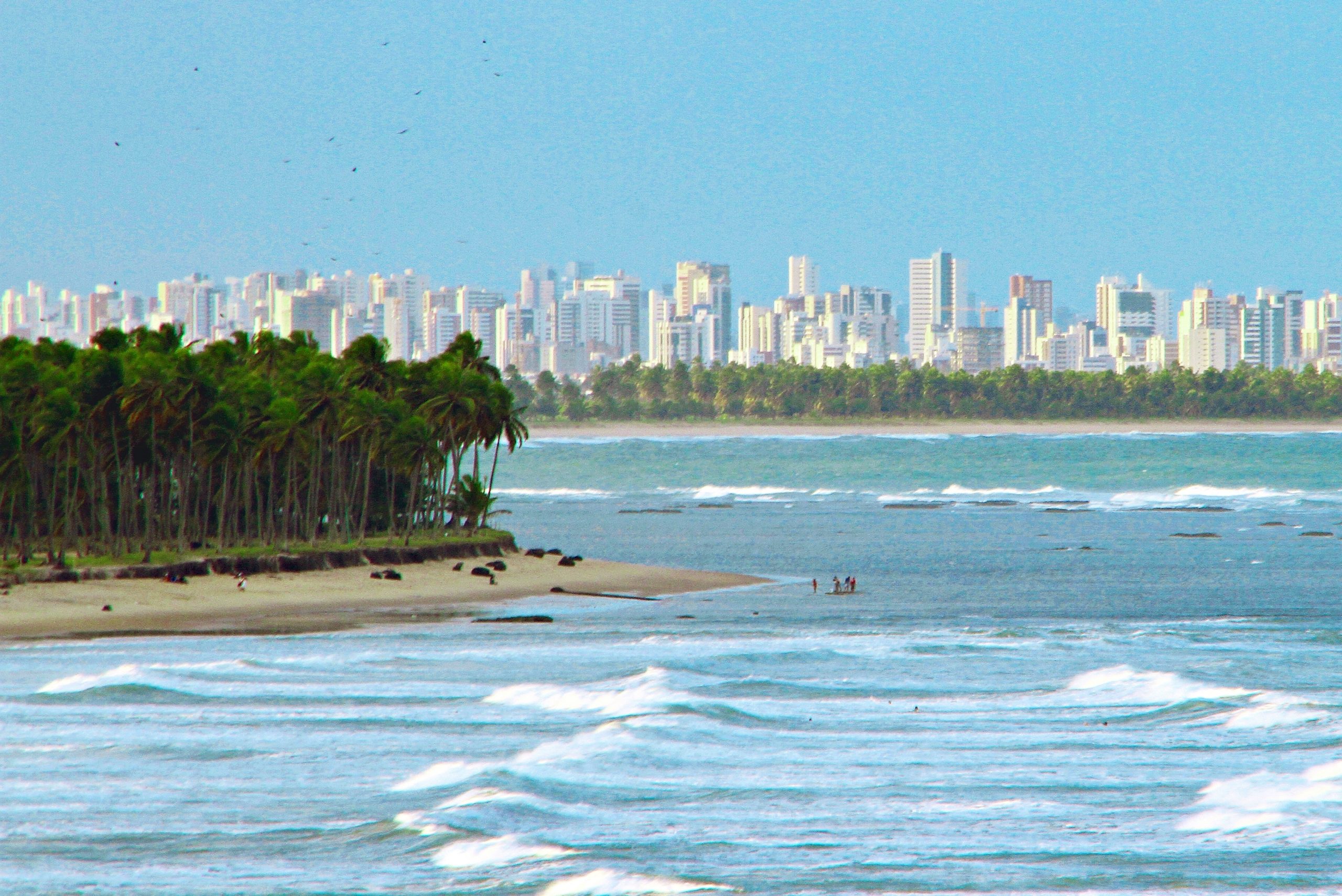 The struggle against global warming: the commitment of the South American region