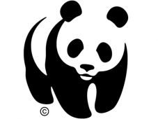 IV Webinar New Deal: Soluções baseadas na Natureza.