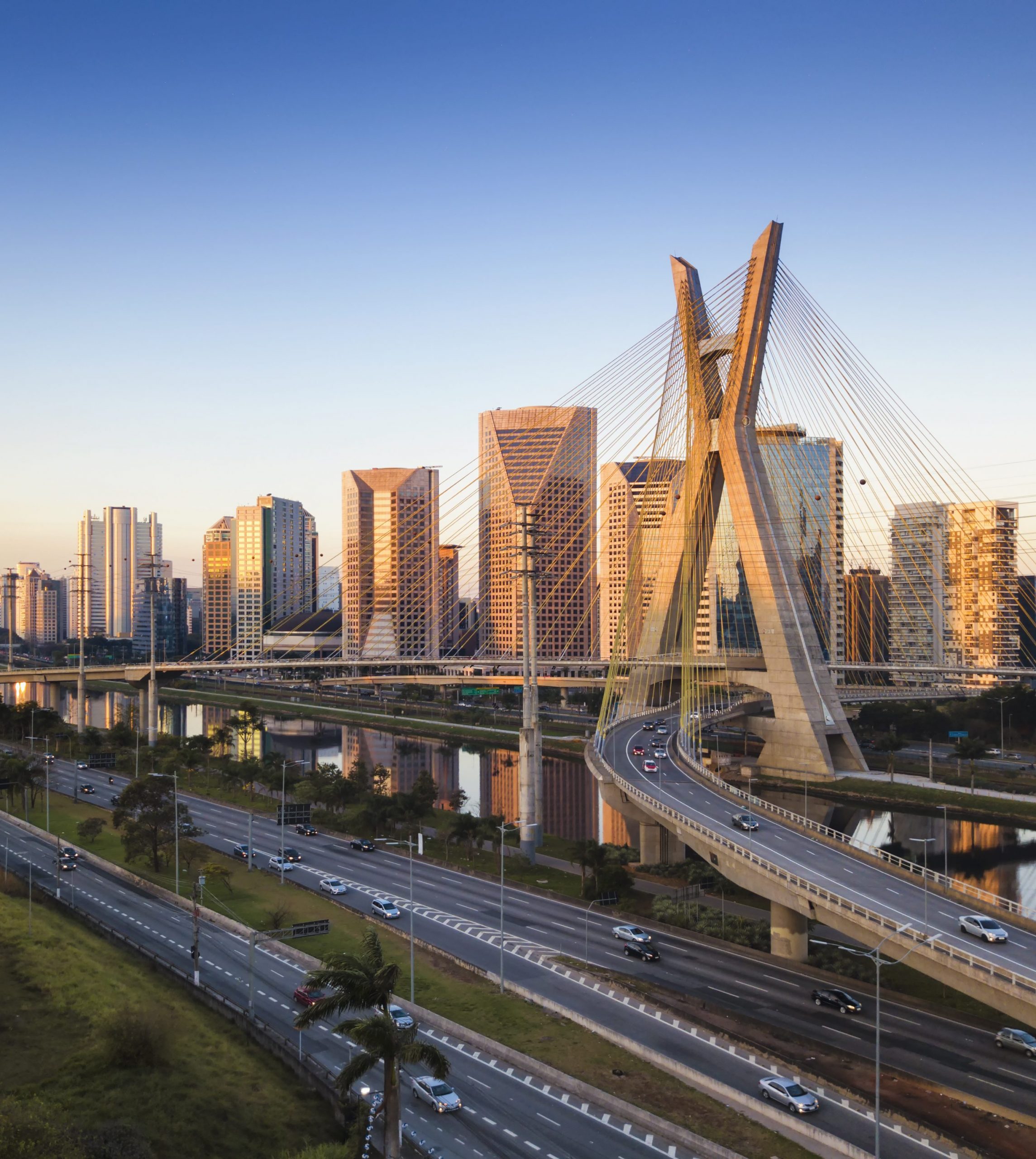 São Paulo se torna a primeira cidade da América Latina a declarar Dia Municipal da Luta Contra as Mudanças Climáticas como lei