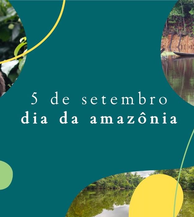 Dia da Amazônia: desenvolvimento sustentável com a floresta em pé