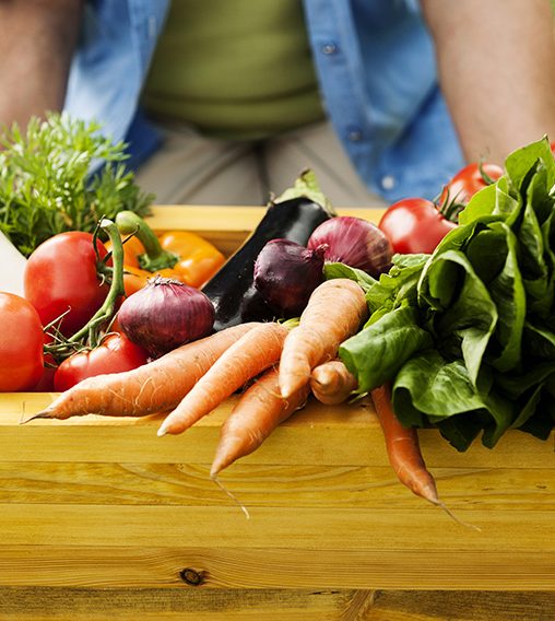 ¡Ciudades brasileñas son seleccionadas para la primera edición del LUPPA – Laboratorio Urbano de Políticas Públicas Alimentarias!