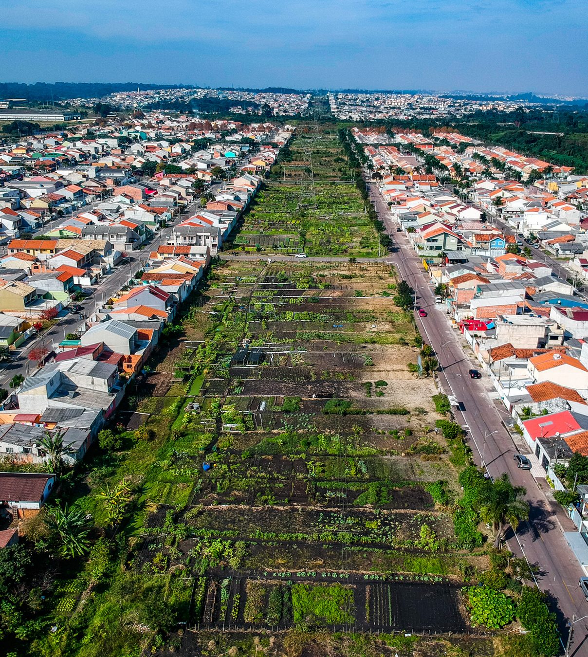 Por que a América Latina precisa de sistemas alimentares sustentáveis ​​com tanta urgência