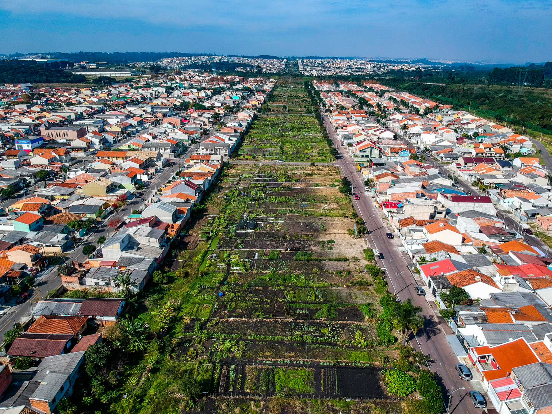 Por que a América Latina precisa de sistemas alimentares sustentáveis ​​com tanta urgência