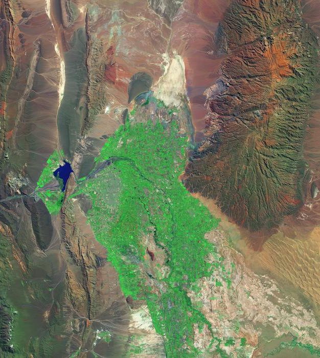 Tras el ciclo de formación “Movilizando la Acción Climática”, Race To Zero suma adhesiones en Argentina