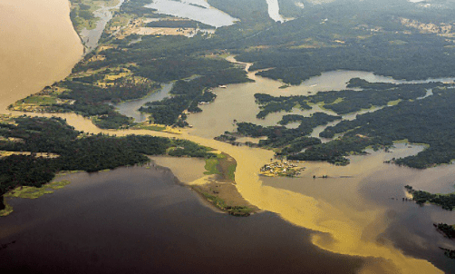 Cómo impulsar una economía verde e inclusiva en la Amazonía