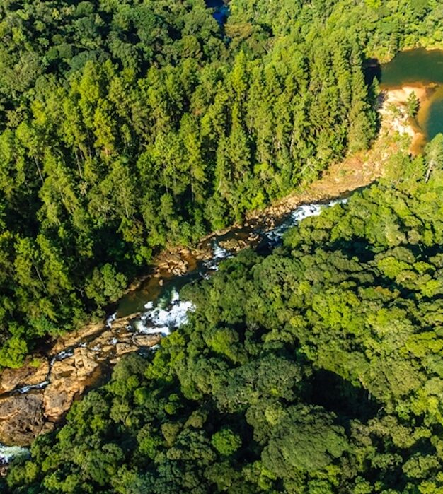 Prorrogado Edital para patrocinadores, parceiros e mentores do Programa de Aceleração de Unidades de Conservação 2022