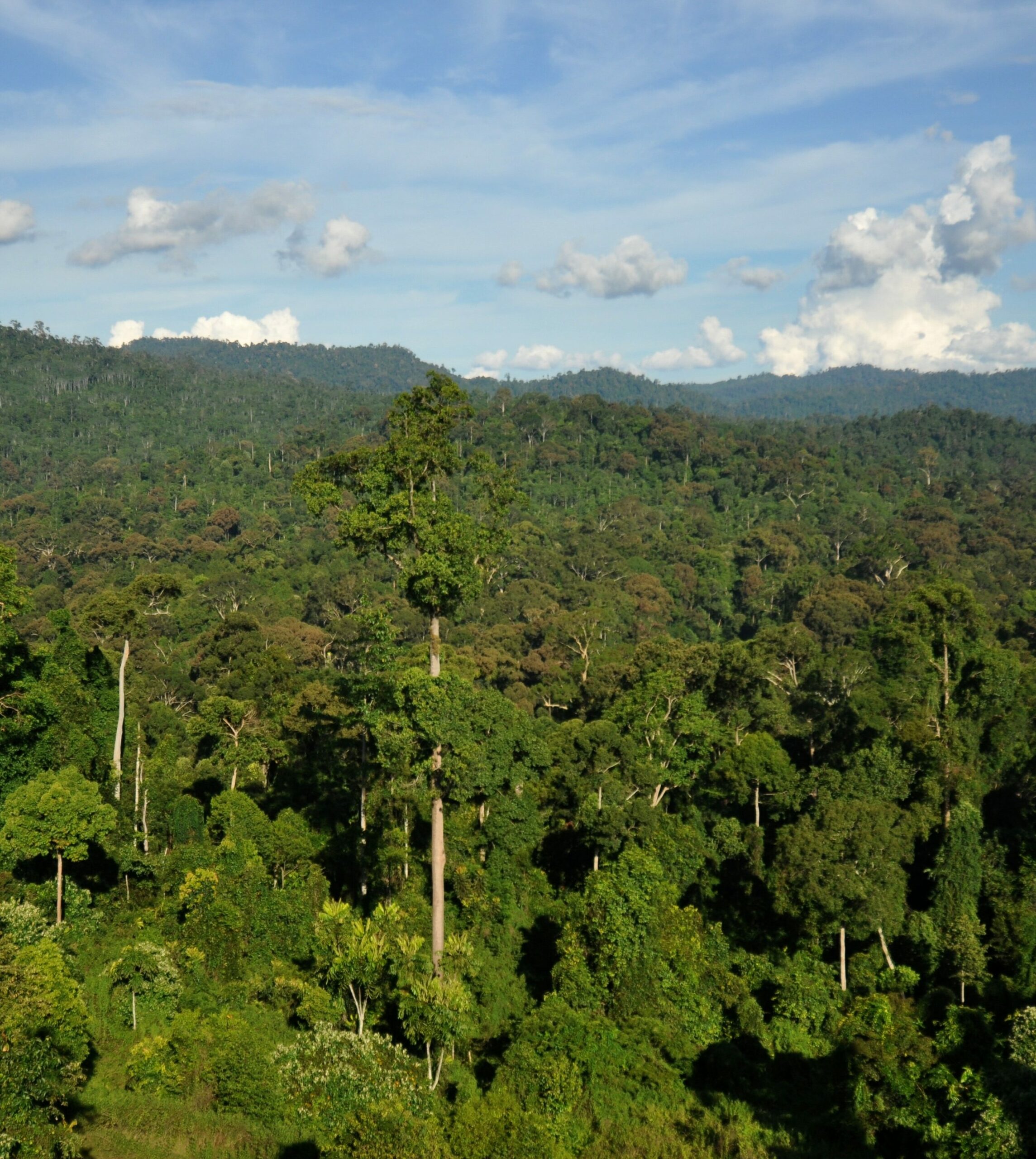 ICLEI abre Edital para Patrocinadores de encontros brasileiros