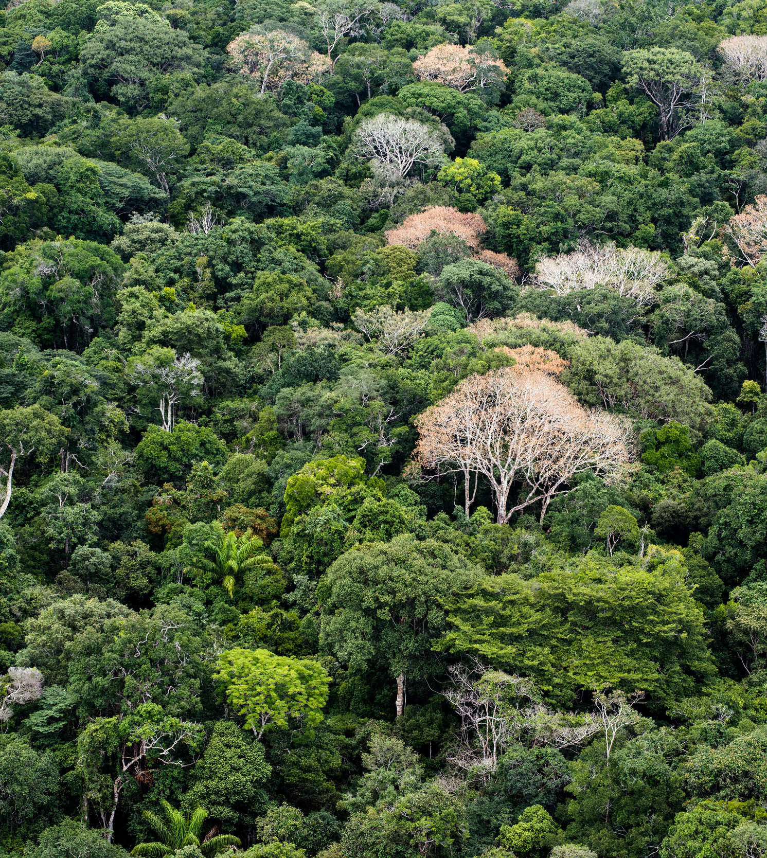 ICLEI lança Edital de seleção de município para projeto “Laboratório Cidades Circulares 2.0”