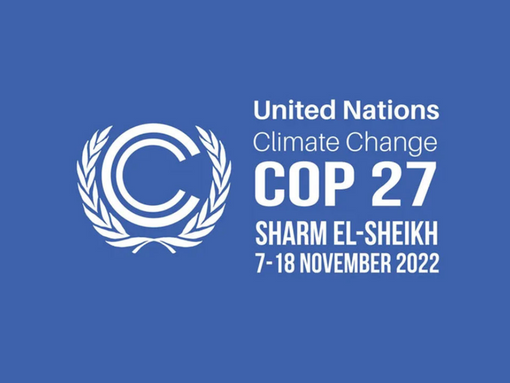 COP 27