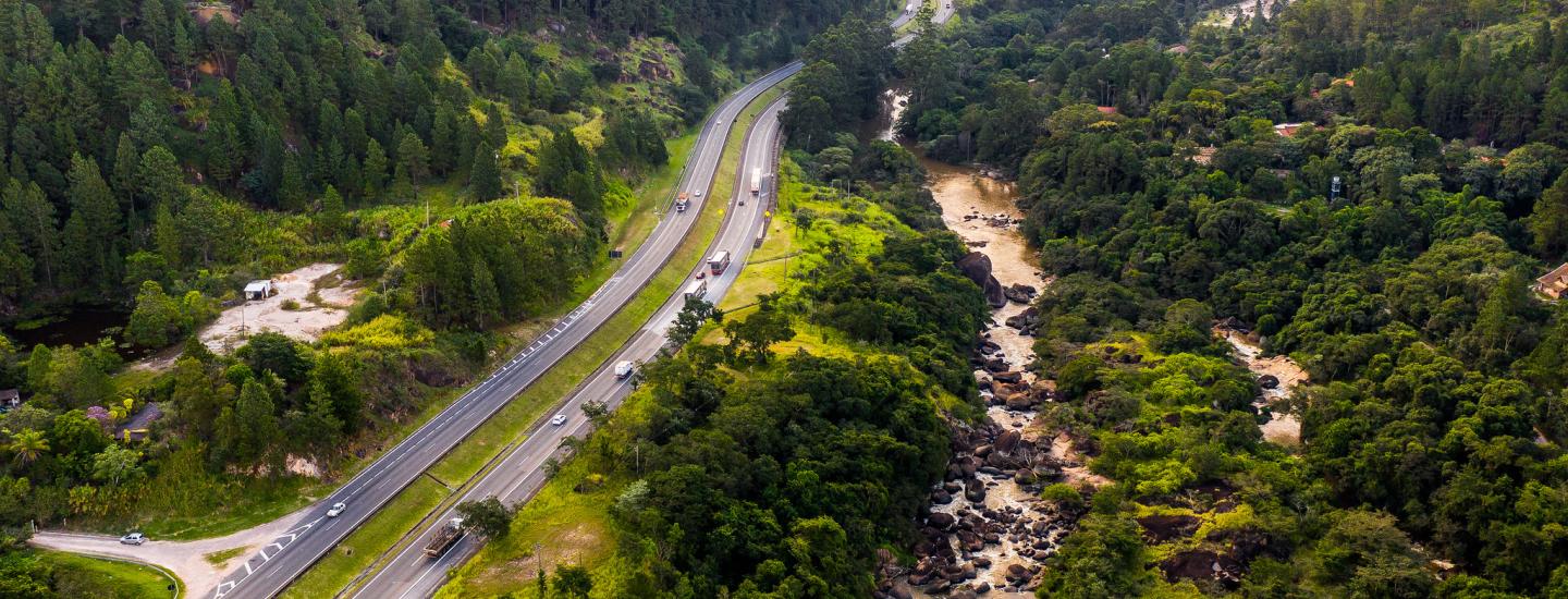 Florestas conservadas e restauradas melhoram a qualidade da água de Campinas e região