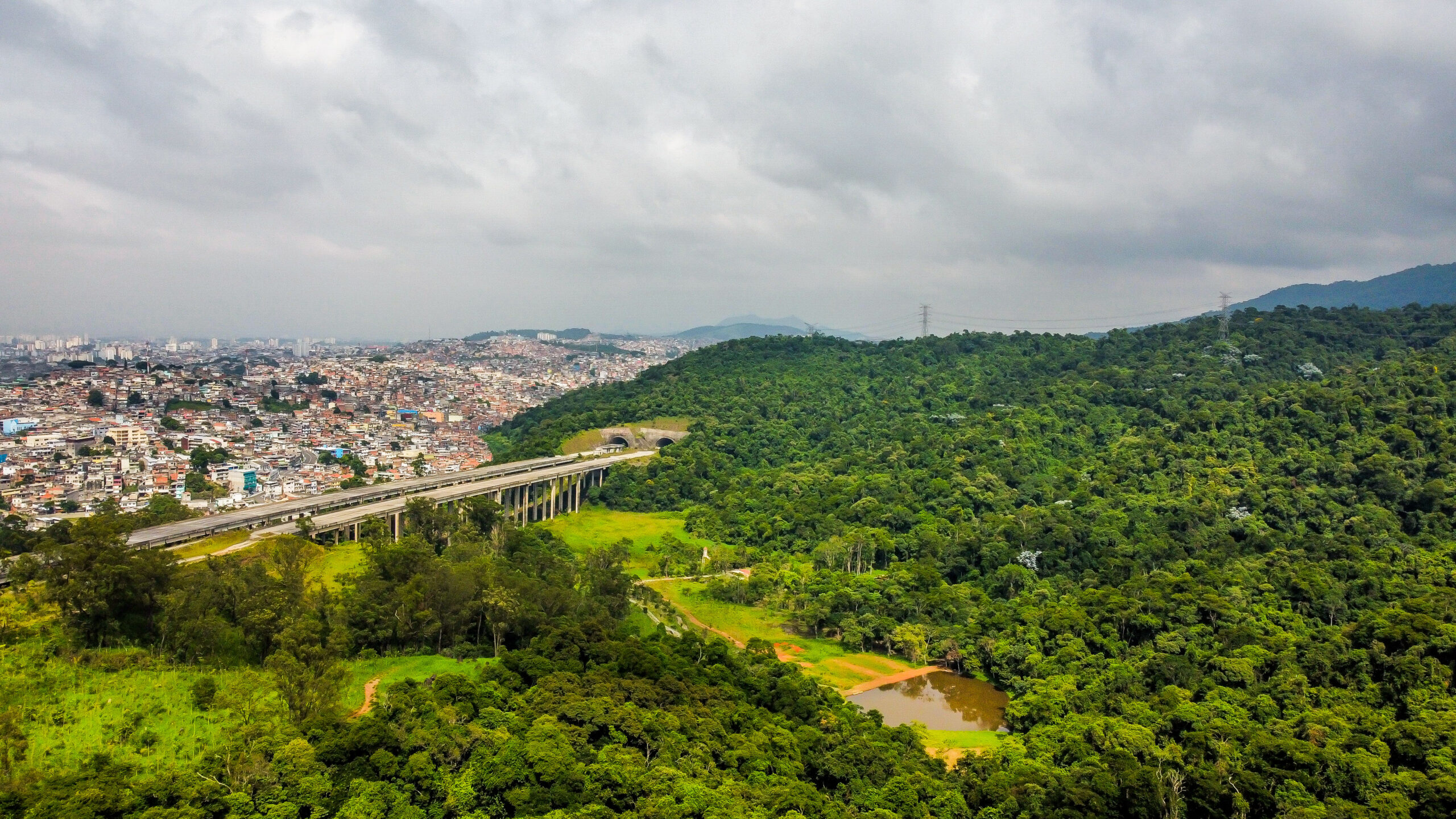 O presente verde de São Paulo