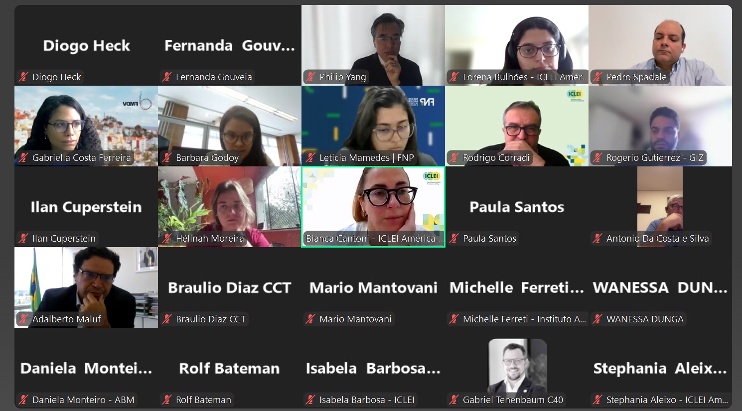 3ª Reunião do Grupo de Coordenação Nacional da LGMA Brasil é realizada rumo à COP 30