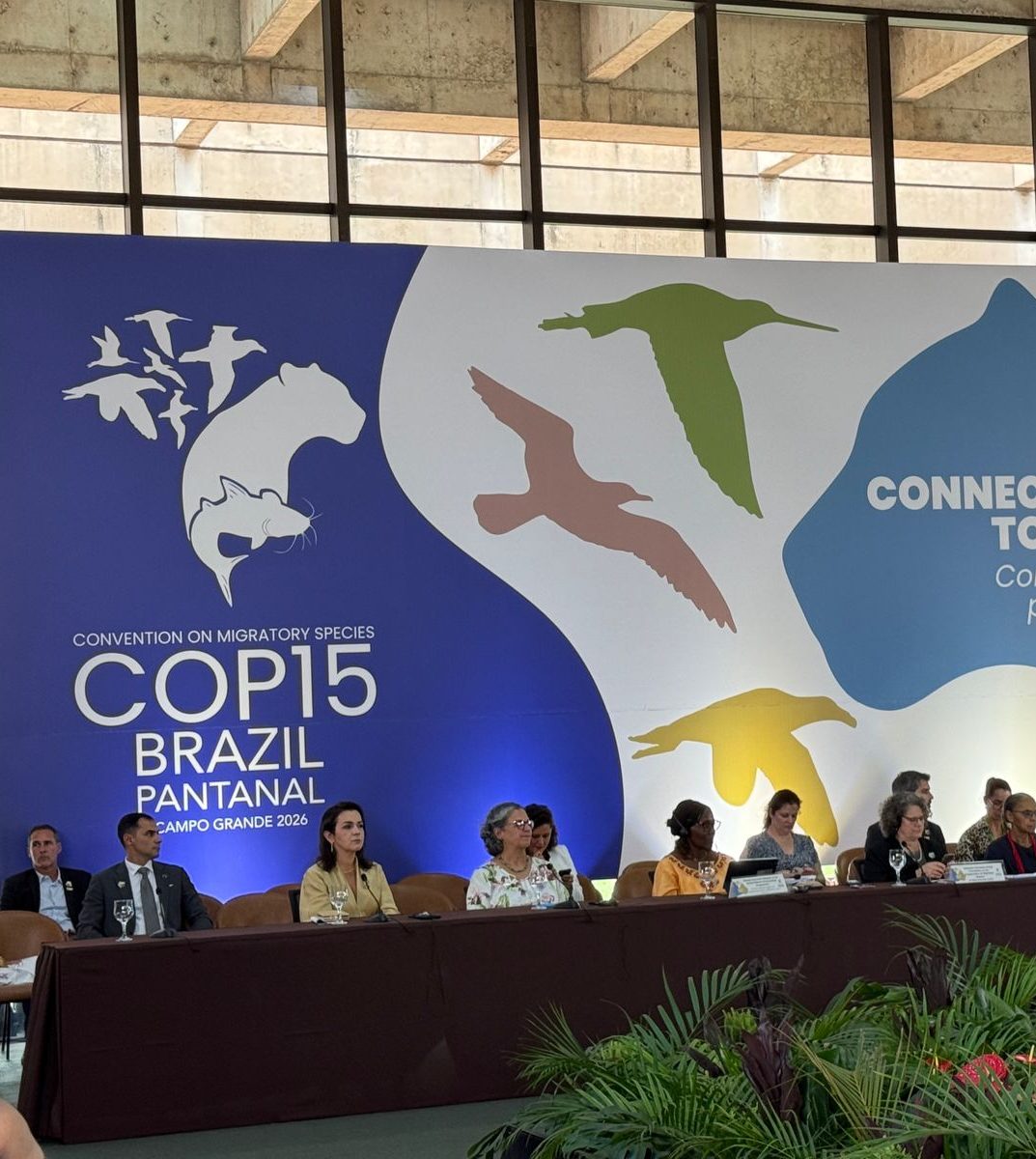 ICLEI realiza 2º Encontro Regional Centro-Oeste e Cúpula de Governos Subnacionais durante CMS COP15, em Campo Grande (MS)