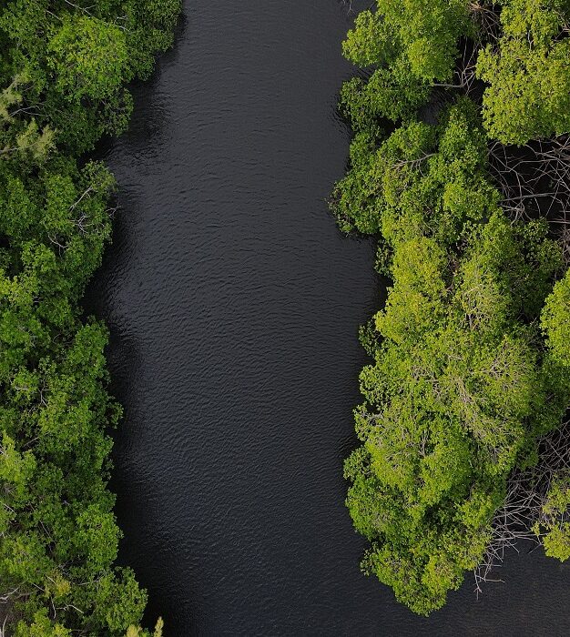 Amazonia: los gobiernos locales debaten la protección forestal y el desarrollo sustentable