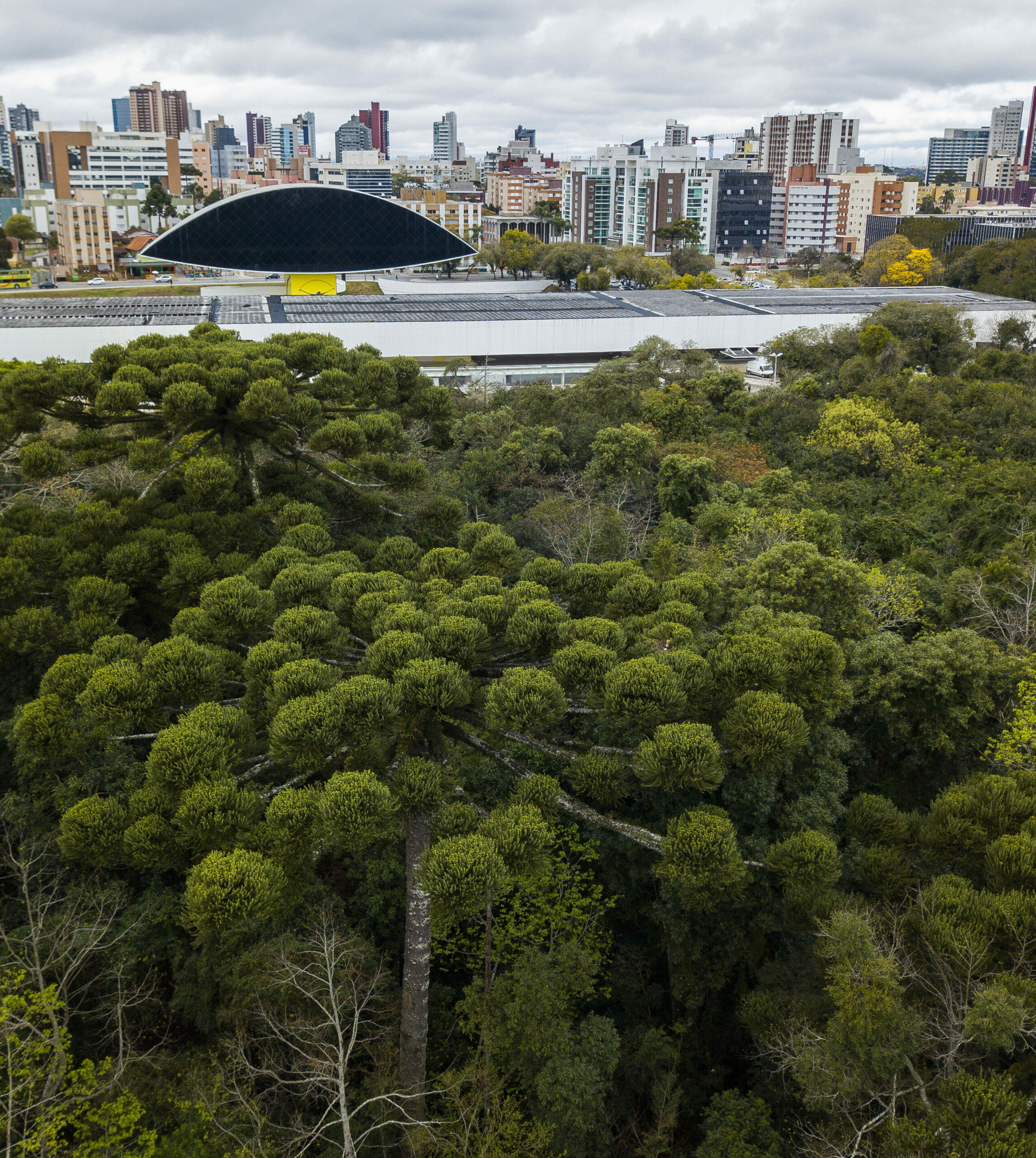 Cidades sul-americanas marcam presença no Daring Cities