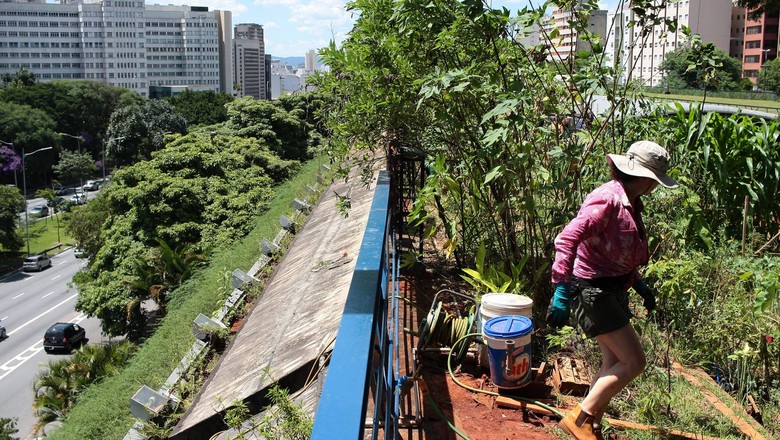 Belo Horizonte capacita gestores sobre políticas de agroecologia e agricultura urbana