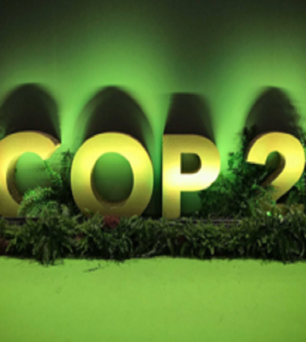 Después de la COP25, frustración por las decisiones pero aún más esperanza en la acción climática local