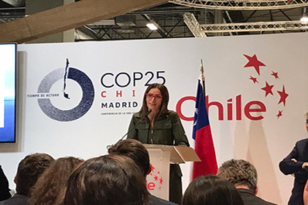 «De Chile al Reino Unido – El camino para Glasgow: consolidación y otras contribuciones para implementación de las NDCs» fue uno de los paneles de la COP25 el martes