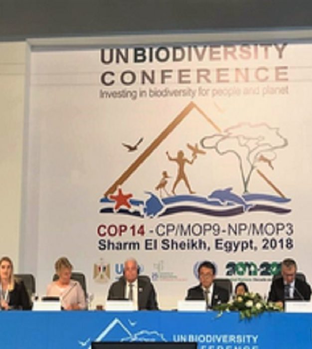 La urgencia de acción multinivel para contener la pérdida de biodiversidad es el llamado del Comunicado de Sharm El-Sheikh