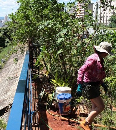 Belo Horizonte capacita a gerentes en políticas públicas en agroecología y agricultura urbana